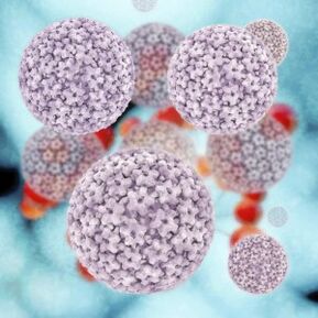 molécules du papillomavirus humain